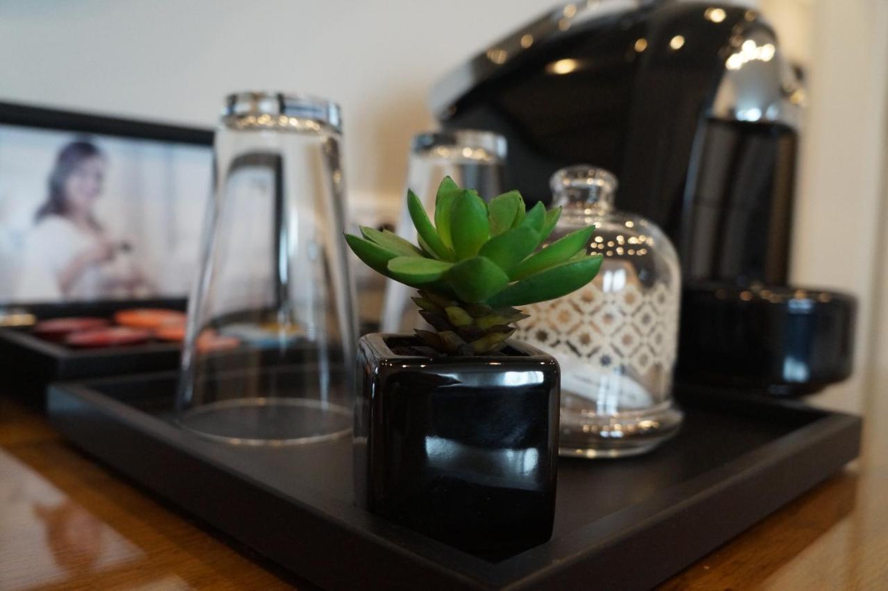 Hotel Residence Promenade Burgas Stad Buitenkant foto A succulent plant in a hotel room